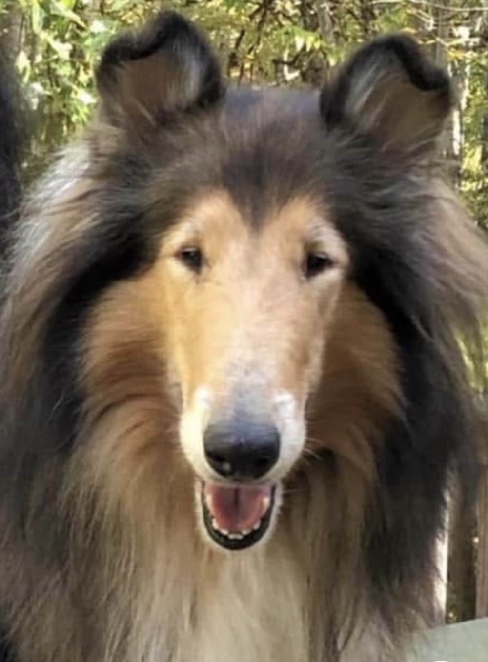 Coco