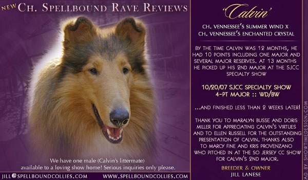 Ch. Spellbound Rave Reviews: Calvin