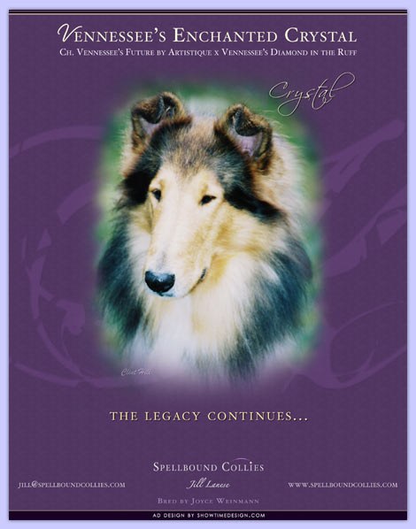 Vennessee's Enchanted Crystal: The Legacy Continues
