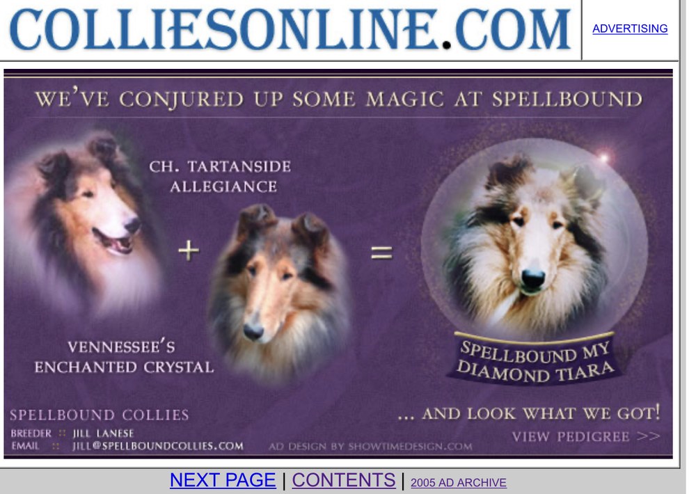 We've conjured up some magic at Spellbound: Ch. Tartanside Allegiance x Vennessee's Enchanted Crystal = Spellbound My Diamond Tiara