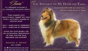 Spellbound My Diamond Tiara, back-to-back major wins